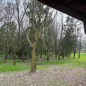 Woods Apartamento